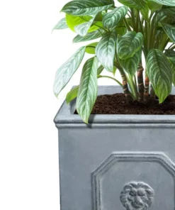 KANTE 12.5" and 10.2"H Square Antique Gray Lightweight Classic English Style Lion Head Planter (Set of 2) Outdoor/Indoor -Vigoro sales Store antique gray kante plant pots rf0172ab c80451 44 1000