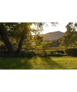 Vigoro Westbrook 36 in. x 48 in. Black Steel Fence Panel (4-Pack) -Vigoro sales Store black vigoro garden fencing 860329 4pk fa 1000