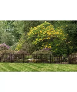 Vigoro Empire/Westbrook 28 in. Black Steel Decorative Fence Gate -Vigoro sales Store black vigoro garden fencing 860350 fa 1000