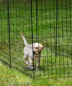 Vigoro 56 in. H Steel Multi-Purpose Black Fence Post -Vigoro sales Store black vigoro garden fencing 860428 4f 1000