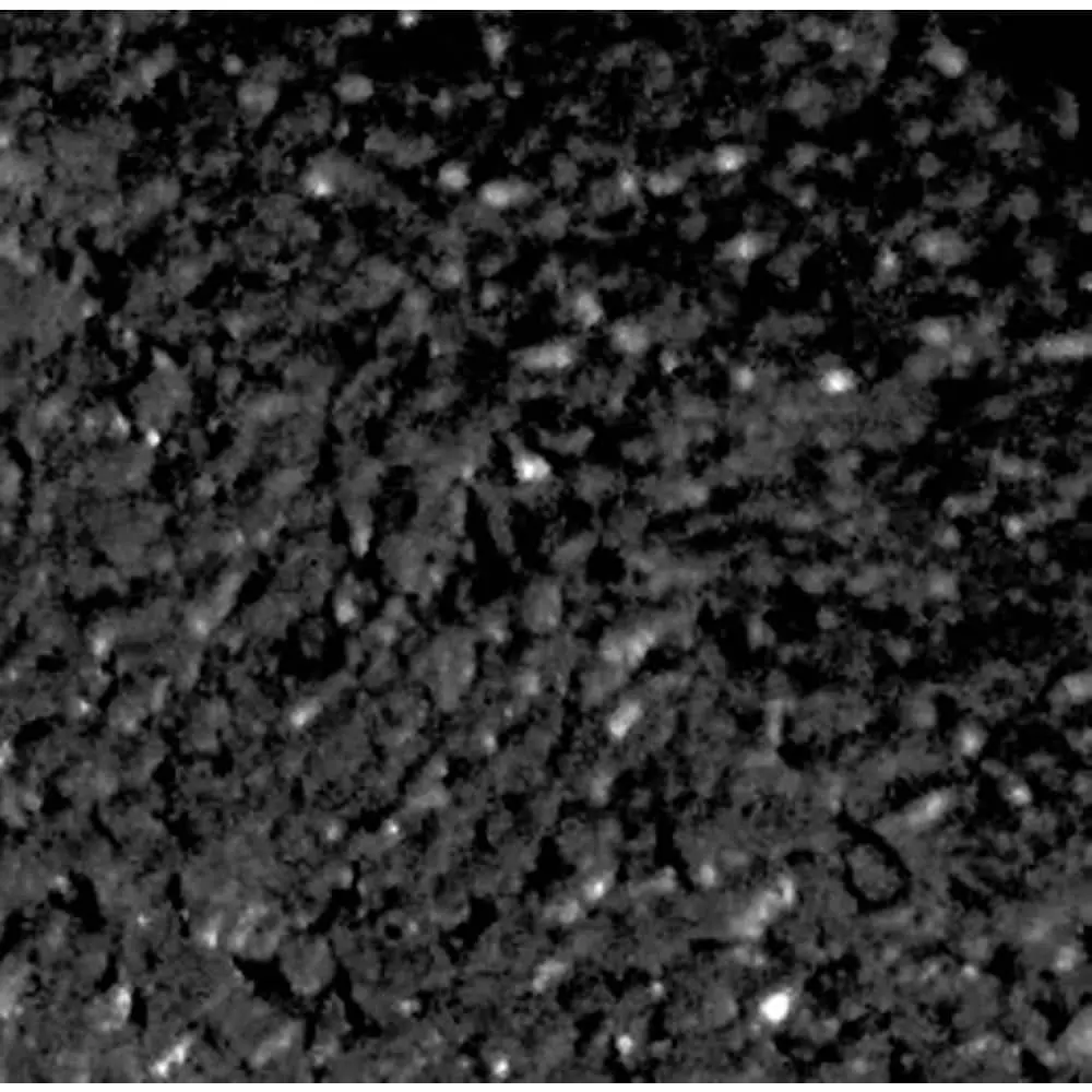 Vigoro EcoBorder 4 ft. Black Rubber Landscape Edging (48-Count/Pallet) 11 Vigoro EcoBorder 4 ft. Black Rubber Landscape Edging (48-Count/Pallet) - Image 9