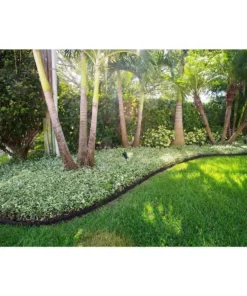 Vigoro EcoBorder 4 ft. Black Rubber Landscape Edging (6-Pack) -Vigoro sales Store black vigoro rubber edging ecobrd blk 6pk 44 1000
