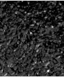 Vigoro EcoBorder 4 ft. Black Rubber Landscape Edging (6-Pack) -Vigoro sales Store black vigoro rubber edging ecobrd blk 6pk 4f 1000