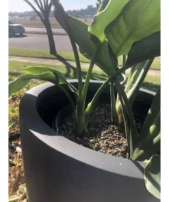 KANTE 16 in. W Round Charcoal Lightweight Concrete/Fiberglass Indoor Outdoor Elegant Bowl Planter -Vigoro sales Store charcoal kante plant pots osc0051b c60121 44 1000