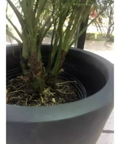 KANTE 16 in. W Round Charcoal Lightweight Concrete/Fiberglass Indoor Outdoor Elegant Bowl Planter -Vigoro sales Store charcoal kante plant pots osc0051b c60121 fa 1000