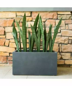 KANTE 23 in. L Rectangular Charcoal Concrete/Fiberglass Indoor Outdoor Elegant Planter
