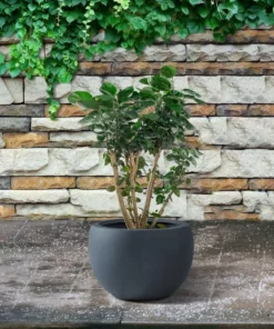 KANTE 8 in. H Charcoal Concrete and Fiberglass Round Bowl Planter, Outdoor Indoor Large Planters Pots with Drainage -Vigoro sales Store charcoal kante plant pots rc0049a c60121 1f 1000