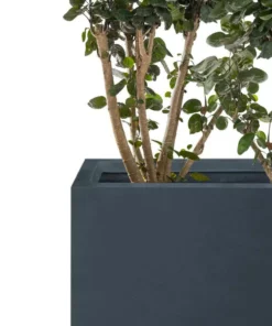 KANTE 17.3 in. W Square Charcoal Lightweight Concrete and Fiberglass Planters with Drainage Holes (Set of 2) -Vigoro sales Store charcoal kante plant pots rf2015015bc c60121 4f 1000
