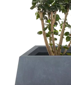 KANTE 21.2 in. and 16.1 in. W Square Charcoal Finish Lightweight Concrete/Fiberglass Planters with Drainage Holes (Set of 2) 11 KANTE 21.2 in. and 16.1 in. W Square Charcoal Finish Lightweight Concrete/Fiberglass Planters with Drainage Holes (Set of 2) -Vigoro sales Store charcoal kante plant pots rf2015018ab c60121 4f 1000