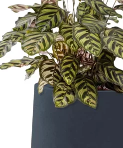 KANTE 10.63 in. x 13.78 in. Round Charcoal Lightweight Concrete and Weather Resistant Fiberglass Planter w/Drainage Hole -Vigoro sales Store charcoal kante plant pots rf2015023c c60121 1f 1000