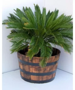 Vigoro 25.98 in. Dia x 16.54 in. H Round Wooden Barrel Planter -Vigoro sales Store dark wood vigoro barrel planters hl6642 e1 1000