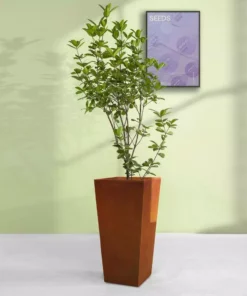 KANTE 24.4 in. H Rectangle Faux Weathering Steel Lightweight Concrete Tapered Tall Planter with Drainage Hole, Outdoor/Indoor -Vigoro sales Store faux weathering steel kante plant pots rf0004c c91942 76 1000