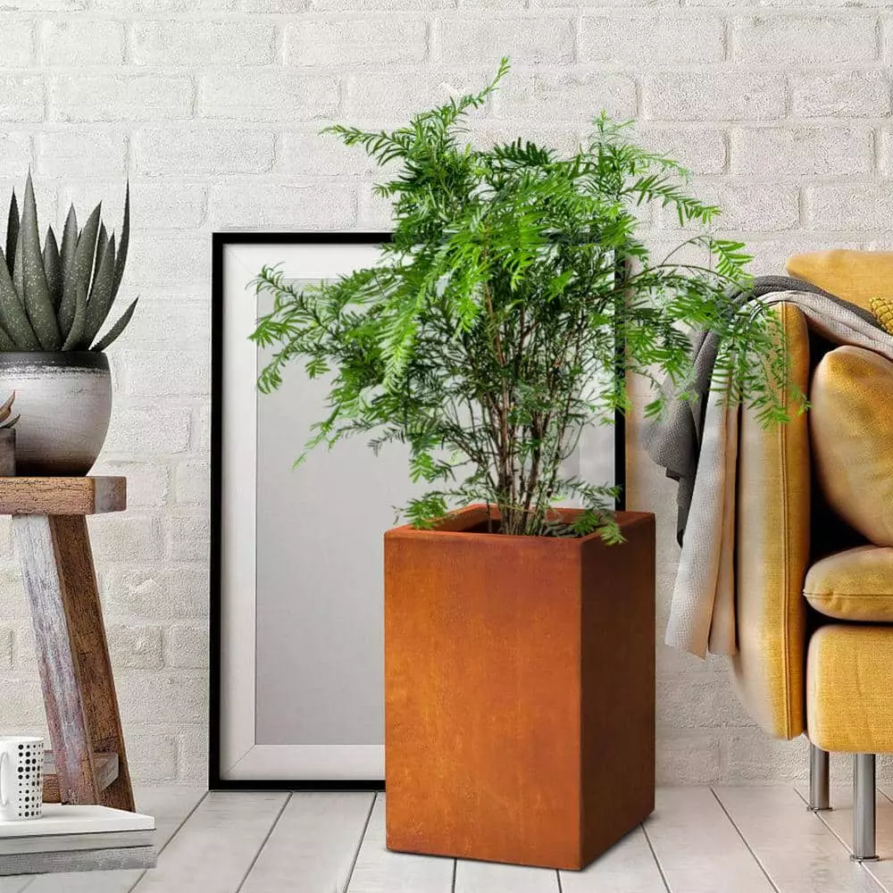 KANTE 16 in. H Faux Weathering Steel Finish Concrete Square, Modern Outdoor/Indoor Lightweight Planter Pot with Drainage Hole 10 KANTE 16 in. H Faux Weathering Steel Finish Concrete Square, Modern Outdoor/Indoor Lightweight Planter Pot with Drainage Hole - Image 8