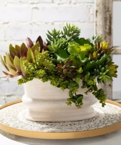 SULLIVANS Ivory Low Oval Ceramic Planter -Vigoro sales Store glaze sullivans plant pots cm2342 1f 1000