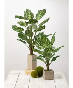 SULLIVANS Gray Cement Square Planter 8 SULLIVANS Gray Cement Square Planter -Vigoro sales Store gray sullivans plant pots cmt1092 4f 1000