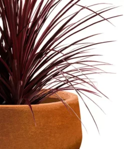 KANTE 16 in. Dia. Round Iron Oxide Concrete Bowl Planter, Outdoor Indoor Large Planter Pot with Drainage Hole 17 KANTE 16 in. Dia. Round Iron Oxide Concrete Bowl Planter, Outdoor Indoor Large Planter Pot with Drainage Hole -Vigoro sales Store iron oxide kante plant pots rc0051b c80621 fa 1000