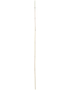 Vigoro 5 ft. Natural Bamboo Stake -Vigoro sales Store natural bamboo beige vigoro tomato cages bb5vg 1f 1000