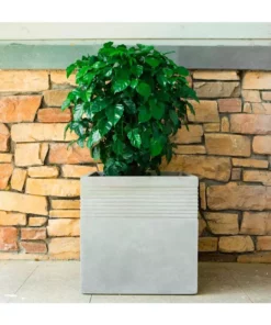 KANTE 15 in. W Square Natural Concrete/Fiberglass Indoor Outdoor Elegant Planter -Vigoro sales Store natural concrete kante plant pots osf0128b c80021 76 1000