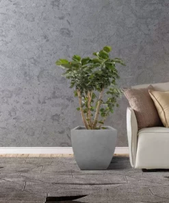 KANTE Square Natural Finish Lightweight Concrete & Weather Resistant Fiberglass Planters with Drainage Holes (Set of 3) -Vigoro sales Store natural concrete kante plant pots rf0126abc c80021 fa 1000