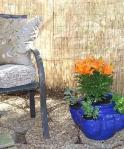 Vigoro 4 ft. H x 8 ft. W Natural Peeled and Polished Reed Fencing -Vigoro sales Store natural vigoro garden fencing 4477301 44 1000