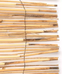 Vigoro 4 ft. H x 8 ft. W Natural Peeled and Polished Reed Fencing -Vigoro sales Store natural vigoro garden fencing 4477301 4f 1000