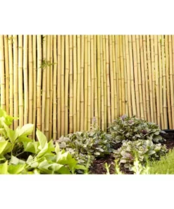 Vigoro 4 ft. H x 6 ft. W Natural Bamboo Fence 11 Vigoro 4 ft. H x 6 ft. W Natural Bamboo Fence -Vigoro sales Store natural vigoro garden fencing 4477405 c3 1000