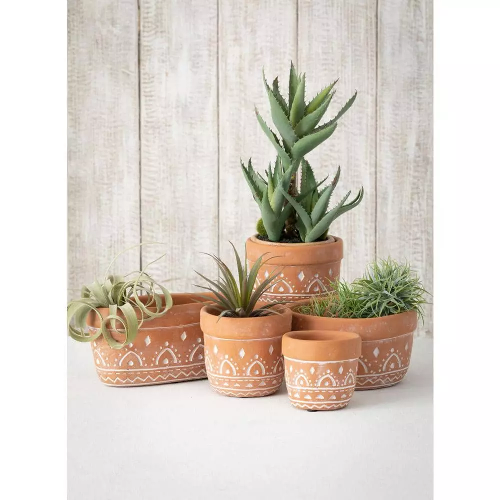 SULLIVANS Orange Cement Dish Garden Pot (Set of 2) 4 SULLIVANS Orange Cement Dish Garden Pot (Set of 2) - Image 2