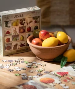 SULLIVANS Adobe Cement Dish Planter - Set of 3 -Vigoro sales Store orange sullivans plant pots cmt1218 1f 1000