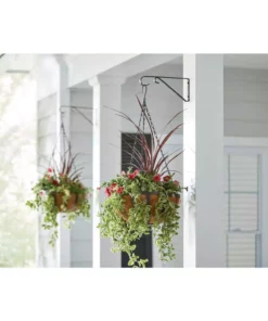 Vigoro 9.81 in. x 0.625 in. x 4.5 in. Black Iron Plant Bracket 10 Vigoro 9.81 in. x 0.625 in. x 4.5 in. Black Iron Plant Bracket -Vigoro sales Store powder coating vigoro plant hangers 570591 e1 1000