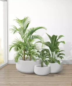 KANTE 19.6 in., 15.7 in. & 11.8 in. W Round Pure White Concrete Elegant Planters Set of 3, Outdoor Indoor w/Drainage Holes 13 KANTE 19.6 in., 15.7 in. & 11.8 in. W Round Pure White Concrete Elegant Planters Set of 3, Outdoor Indoor w/Drainage Holes -Vigoro sales Store pure white kante plant pots rc0051abc c80011 4f 1000
