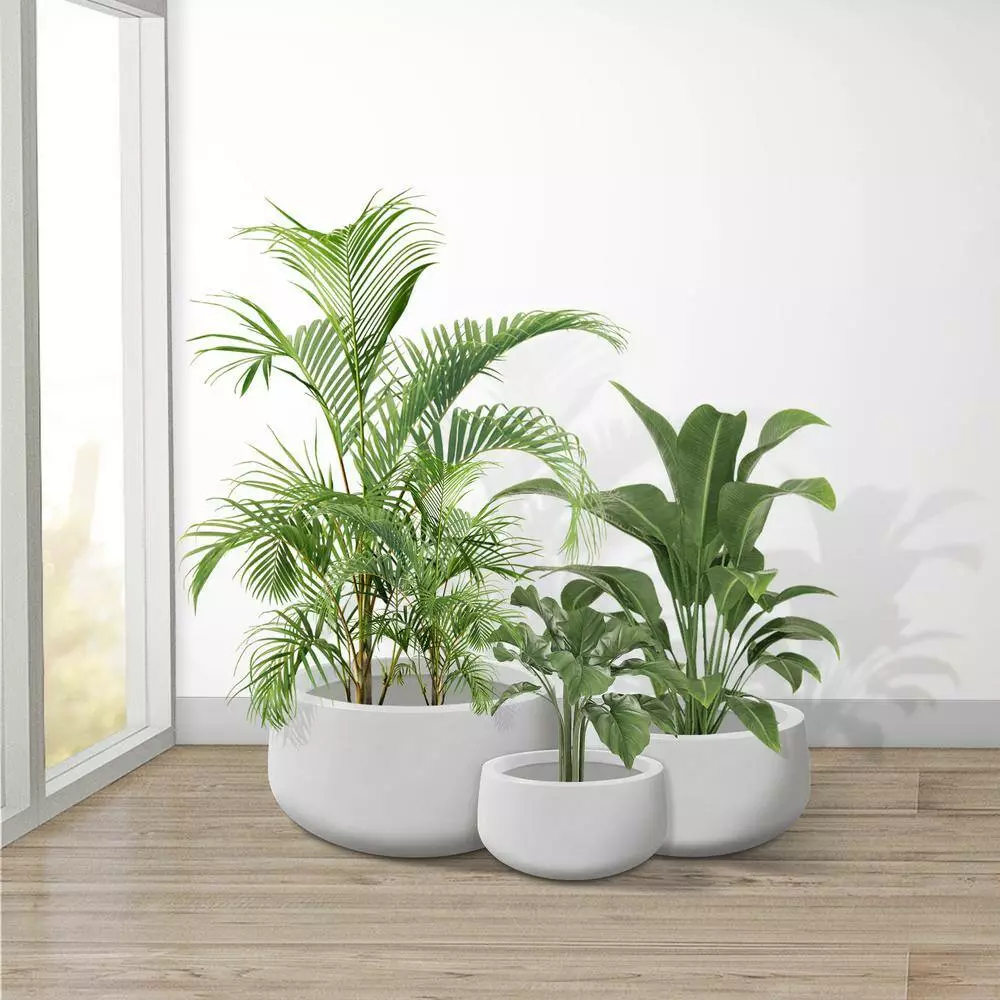 KANTE 19.6 in., 15.7 in. & 11.8 in. W Round Pure White Concrete Elegant Planters Set of 3, Outdoor Indoor w/Drainage Holes 6 KANTE 19.6 in., 15.7 in. & 11.8 in. W Round Pure White Concrete Elegant Planters Set of 3, Outdoor Indoor w/Drainage Holes - Image 4