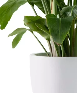 KANTE 13.39 in. x 12.6 in. Round Pure White Lightweight Concrete and Fiberglass Indoor Outdoor Planter with Drainage Hole -Vigoro sales Store pure white kante plant pots rc0152b c80011 1f 1000