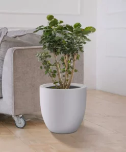 KANTE 13.39 in. x 12.6 in. Round Pure White Lightweight Concrete and Fiberglass Indoor Outdoor Planter with Drainage Hole -Vigoro sales Store pure white kante plant pots rc0152b c80011 44 1000