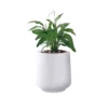 KANTE 17.3 in. H Round Pure White Concrete Planter, Outdoor Indoor Large Planter Pots Containers with Drainage Holes -Vigoro sales Store pure white kante plant pots rf2015022b c80011 64 1000