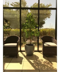 KANTE 10 in. W Round Slate Gray Concrete/Fiberglass Indoor Outdoor Elegant Planter -Vigoro sales Store slate gray kante plant pots osc0050a c60611 76 1000