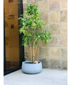 KANTE 20 in. W Round Slate Gray Lightweight Concrete/Fiberglass Indoor Outdoor Elegant Bowl Planter -Vigoro sales Store slate gray kante plant pots osc0051c c60611 66 1000