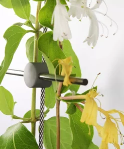 Vigoro 8 ft. x 3 ft. Stainless Steel Wire Rope Plant Trellis Kit -Vigoro sales Store stainless vigoro tomato cages 822232 c3 1000