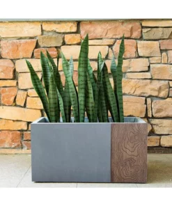 KANTE 31 in. L Rectangular Timber Ridge Concrete/Fiberglass Indoor Outdoor Elegant Long Planter 17 KANTE 31 in. L Rectangular Timber Ridge Concrete/Fiberglass Indoor Outdoor Elegant Long Planter -Vigoro sales Store timber ridge kante plant pots osf0219b c80811 1f 1000