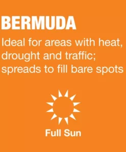 Vigoro 10 lbs. Bermuda Grass Seed Blend with Water Saver Seed Coating -Vigoro sales Store vigoro grass seed 25502 a0 1000