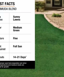 Vigoro 10 lbs. Bermuda Grass Seed Blend with Water Saver Seed Coating -Vigoro sales Store vigoro grass seed 25502 fa 1000