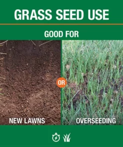 Vigoro 7 lbs. Tall Fescue Grass Seed Blend with Water Saver Seed Coating -Vigoro sales Store vigoro grass seed 25685 4f 1000