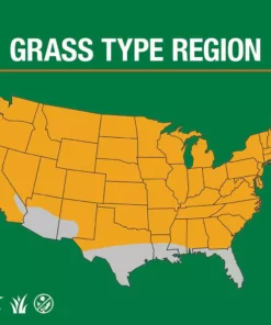 Vigoro 7 lbs. Tall Fescue Grass Seed Blend with Water Saver Seed Coating -Vigoro sales Store vigoro grass seed 25685 66 1000