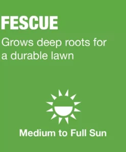Vigoro 7 lbs. Tall Fescue Grass Seed Blend with Water Saver Seed Coating -Vigoro sales Store vigoro grass seed 25685 a0 1000