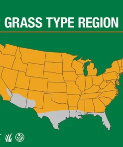 Vigoro 20 lbs. Tall Fescue Grass Seed Blend with Water Saver Seed Coating -Vigoro sales Store vigoro grass seed 25686 66 1000