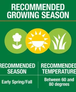 Vigoro 20 lbs. Sun and Shade Grass Seed Mix with Water Saver Seed Coating 24 Vigoro 20 lbs. Sun and Shade Grass Seed Mix with Water Saver Seed Coating -Vigoro sales Store vigoro grass seed 25687 1f 1000