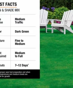 Vigoro 20 lbs. Sun and Shade Grass Seed Mix with Water Saver Seed Coating 26 Vigoro 20 lbs. Sun and Shade Grass Seed Mix with Water Saver Seed Coating -Vigoro sales Store vigoro grass seed 25687 fa 1000