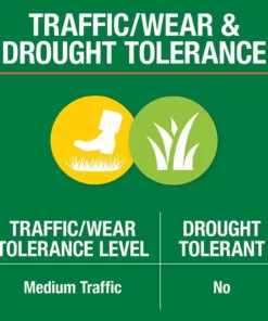 Vigoro 3 lbs. Dense Shade Grass Seed Mix with Water Saver Seed Coating -Vigoro sales Store vigoro grass seed 25689 44 1000