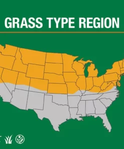 Vigoro 3 lbs. Dense Shade Grass Seed Mix with Water Saver Seed Coating -Vigoro sales Store vigoro grass seed 25689 66 1000