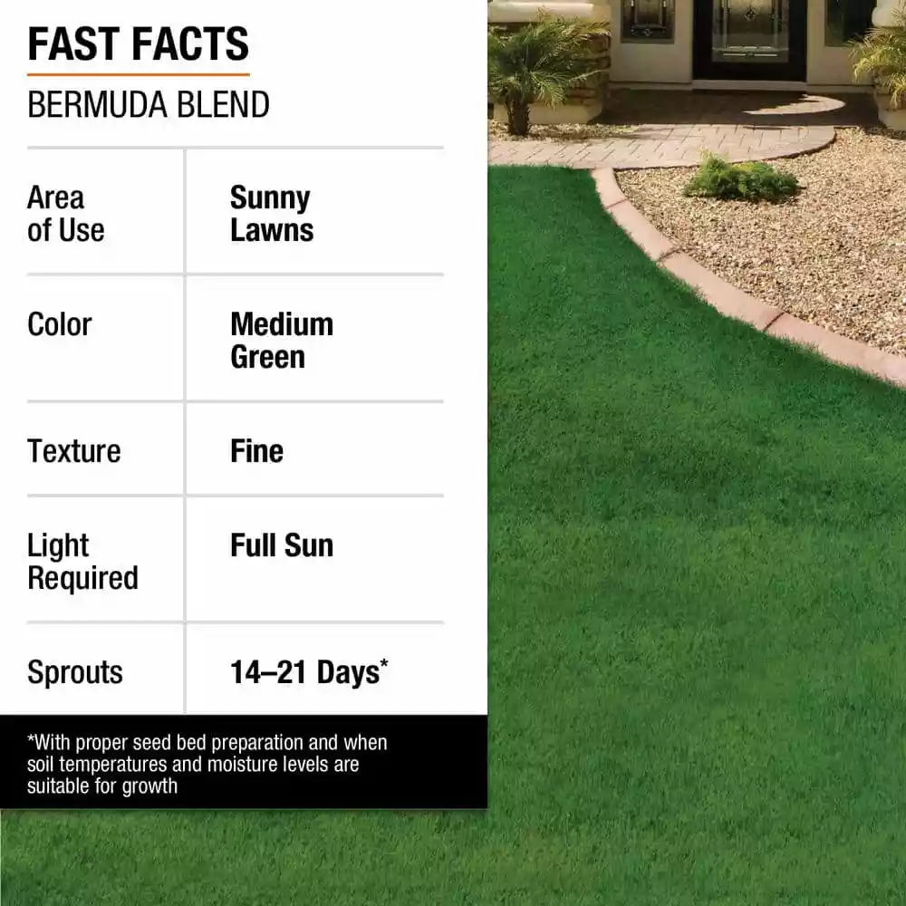 Vigoro 1 lb. Bermuda Grass Seed Blend with Water Saver Seed Coating 6 Vigoro 1 lb. Bermuda Grass Seed Blend with Water Saver Seed Coating - Image 4