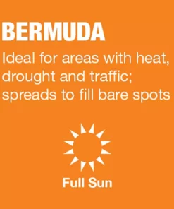 Vigoro 5 lbs. Bermuda Grass Seed Blend with Water Saver Seed Coating -Vigoro sales Store vigoro grass seed 52335 a0 1000